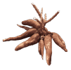 vegi